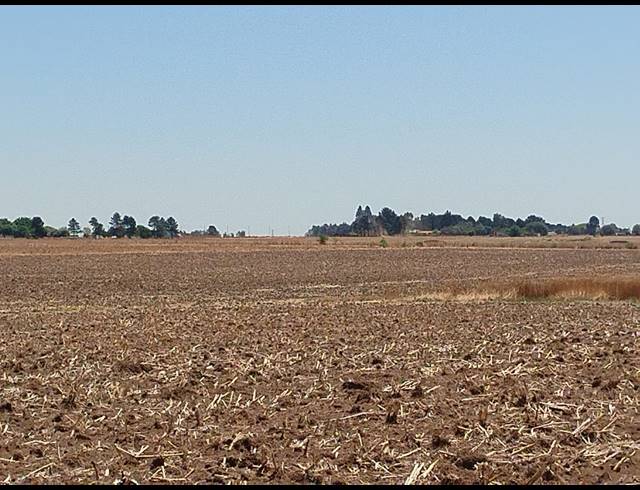 20.20HA VACANT LAND FOR SALE IN CHRISSIEFONTEIN
